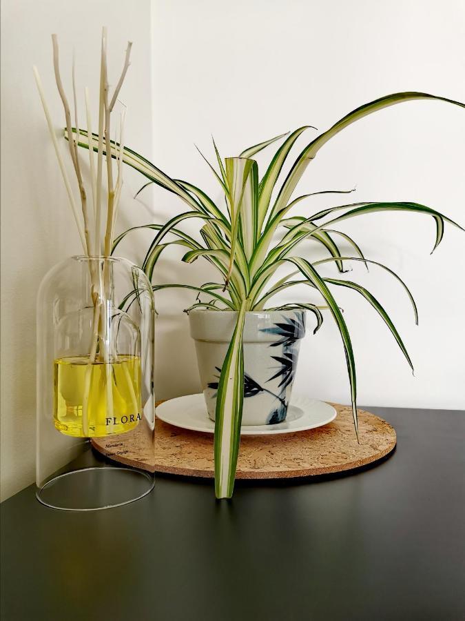 Refresh109 On Cameron Launceston Bagian luar foto